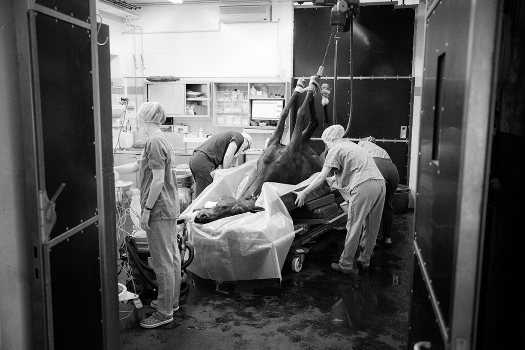 Schwarz-weiße Aufnahme aus dem OP der Tierklinik Lüsche