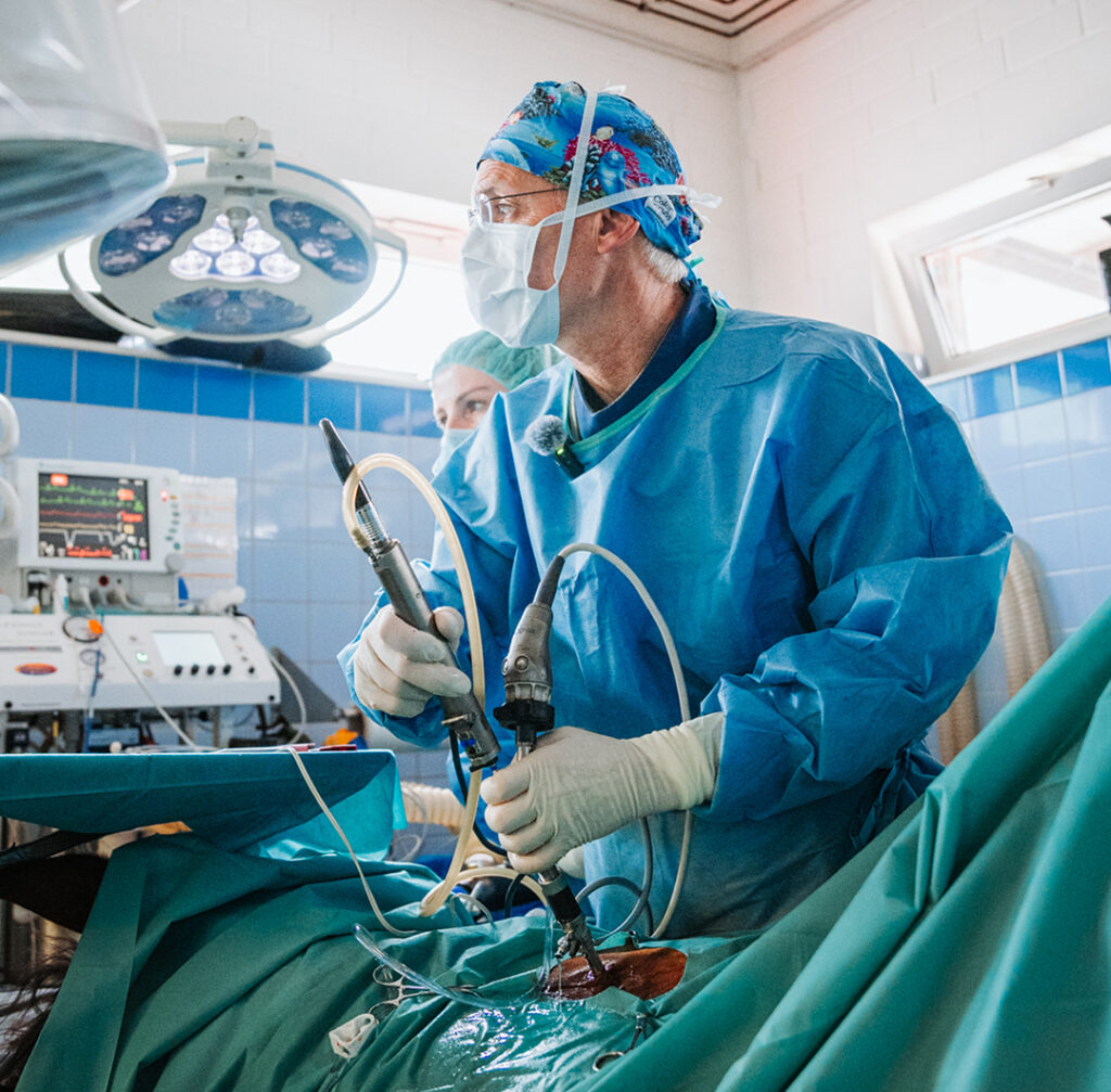 Tierärzte bei einer Operation in der Tierklinik Lüsche