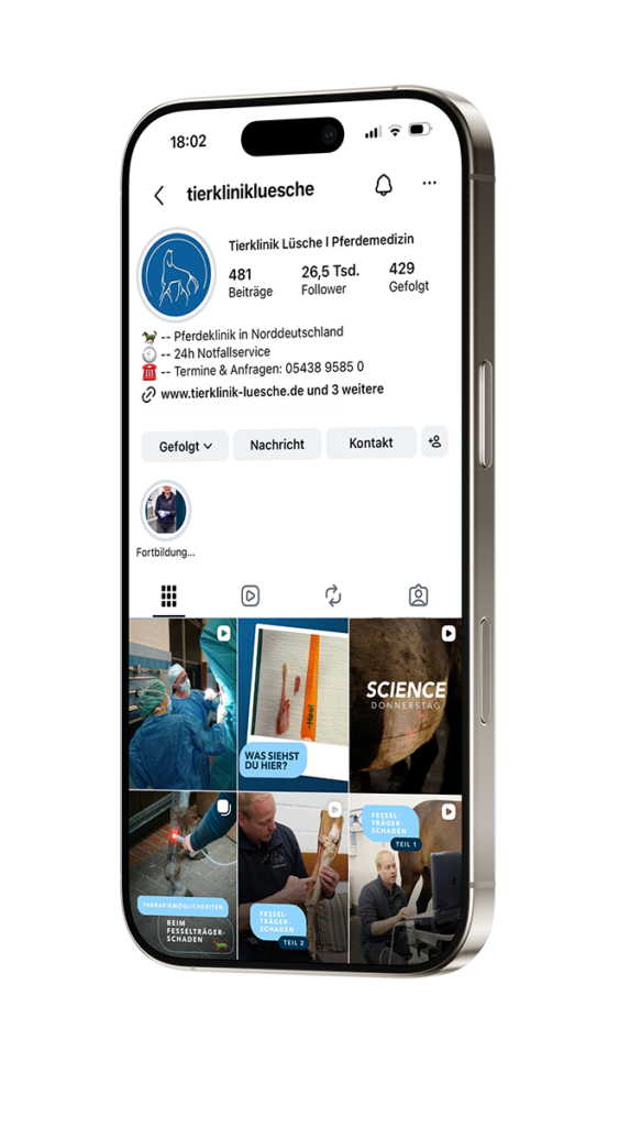 Mockup eines Instagram-Profils